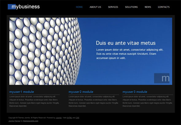 mybusiness theme